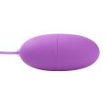 Produits sexuels adultes d&#39;adulte de vibrateur de silicone 100%